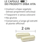 Cola de caballo, 60 comprimidos: complemento alimenticio para las uñas y el cabello