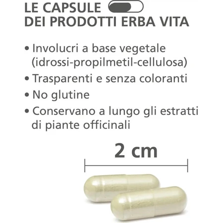 Cola de caballo, 60 comprimidos: complemento alimenticio para las uñas y el cabello