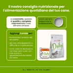 Almo Nature Daily Menu Ternera y zanahorias - Comida húmeda para perros adultos, 300 g