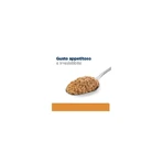 Hill's Prescription Diet k/d Poulet - Aliment diététique complet pour chiens adultes souffrant d'une maladie rénale, 350 g