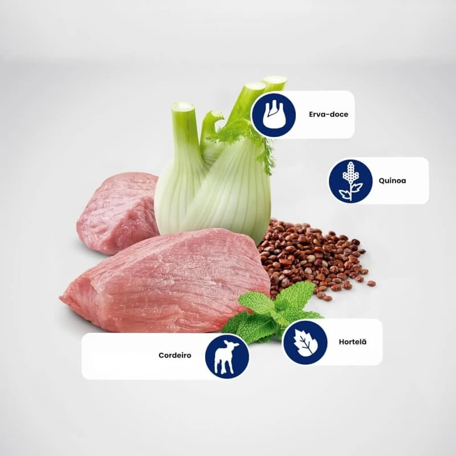 Farmina N&amp;d Quinoa Digestion Lamb - Dieetvoeding voor volwassen katten met spijsverteringsproblemen, 80 g
