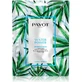 Payot Water Power – Feuchtigkeitsspendende Gesichtsmaske