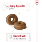 Royal Canin Maxi Ageing 8 Plus - Complete food for large adult dogs over 8 years of age, 15 kg