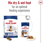 Royal Canin Maxi Ageing 8 Plus - Complete food for large adult dogs over 8 years of age, 15 kg