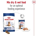 Royal Canin Maxi Ageing 8 Plus - Complete food for large adult dogs over 8 years of age, 15 kg