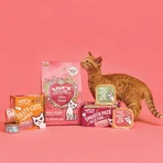 Lily's Kitchen Kitten Chicken and White Fish - Dry Food for Kittens, 800 g