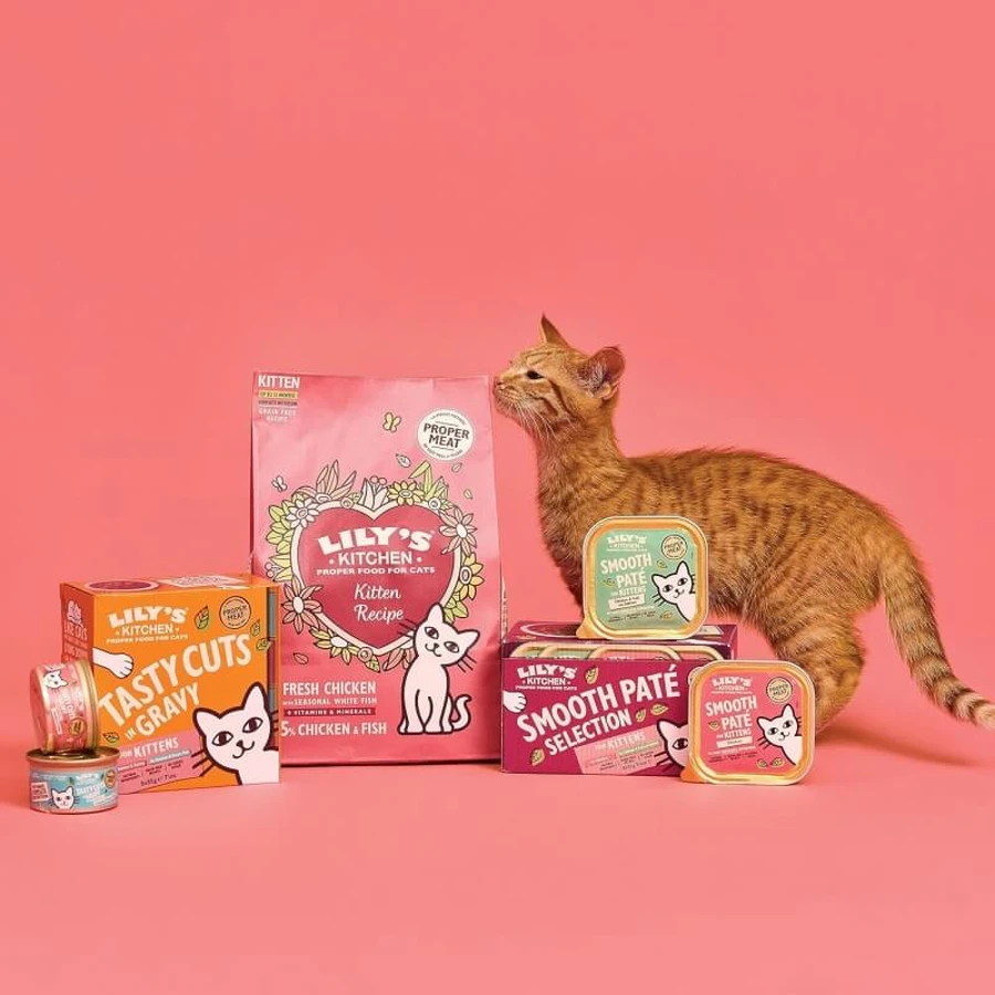 Lily's Kitchen Kitten Chicken and White Fish - Dry Food for Kittens, 800 g