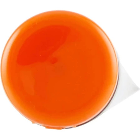 Delice Bronzing Sun Shower Gel 250 ml