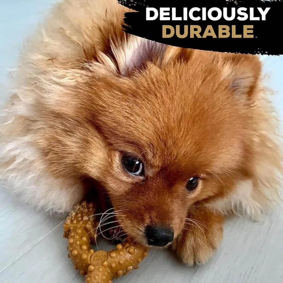 Tasty Bone Nylon Trio Bone Toy - Beef-Flavored Chew Toy for Dogs