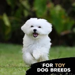 Tasty Bone Nylon Trio Bone Toy - Beef-Flavored Chew Toy for Dogs