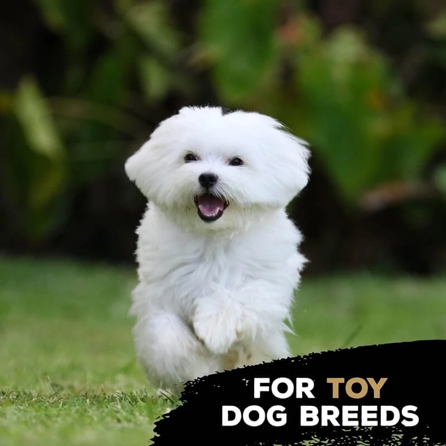 Tasty Bone Nylon Trio Bone Toy - Beef-Flavored Chew Toy for Dogs