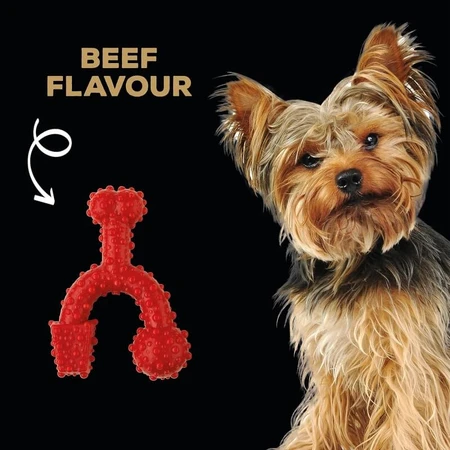 Tasty Bone Nylon Trio Bone Toy - Beef-Flavored Chew Toy for Dogs