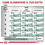 Royal Canin Satiety Weight Management – Alleinfuttermittel für erwachsene Katzen zur Gewichtsregulierung, 400 g