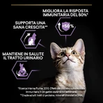 Purina Pro Plan Original Kitten OptiStart Huhn – Alleinfuttermittel für Kätzchen und säugende Katzen, 1,5 kg