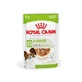 Royal Canin X-Small Adult - Aliment complet pour chiens adultes de très petite taille, 85 g