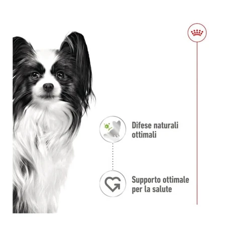 Royal Canin X-Small Adult - Aliment complet pour chiens adultes de très petite taille, 85 g