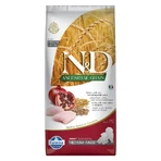Farmina N&amp;d Ancestral Grain Puppy Chicken and Pomegranate - Complete Food for Medium and Large Breed Puppies, 12 kg