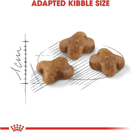 Royal Canin Kitten 36 – Alleinfuttermittel für Kätzchen, 2 kg