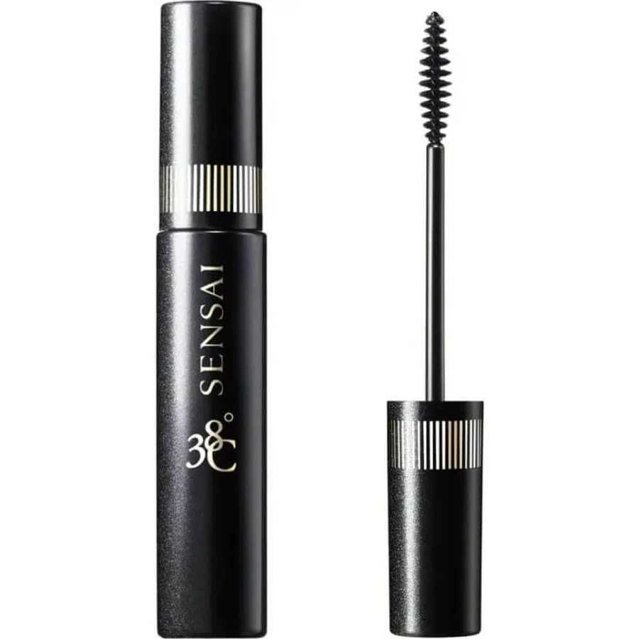 Kanebo Sensai Mascara 38c M 1 Zwart
