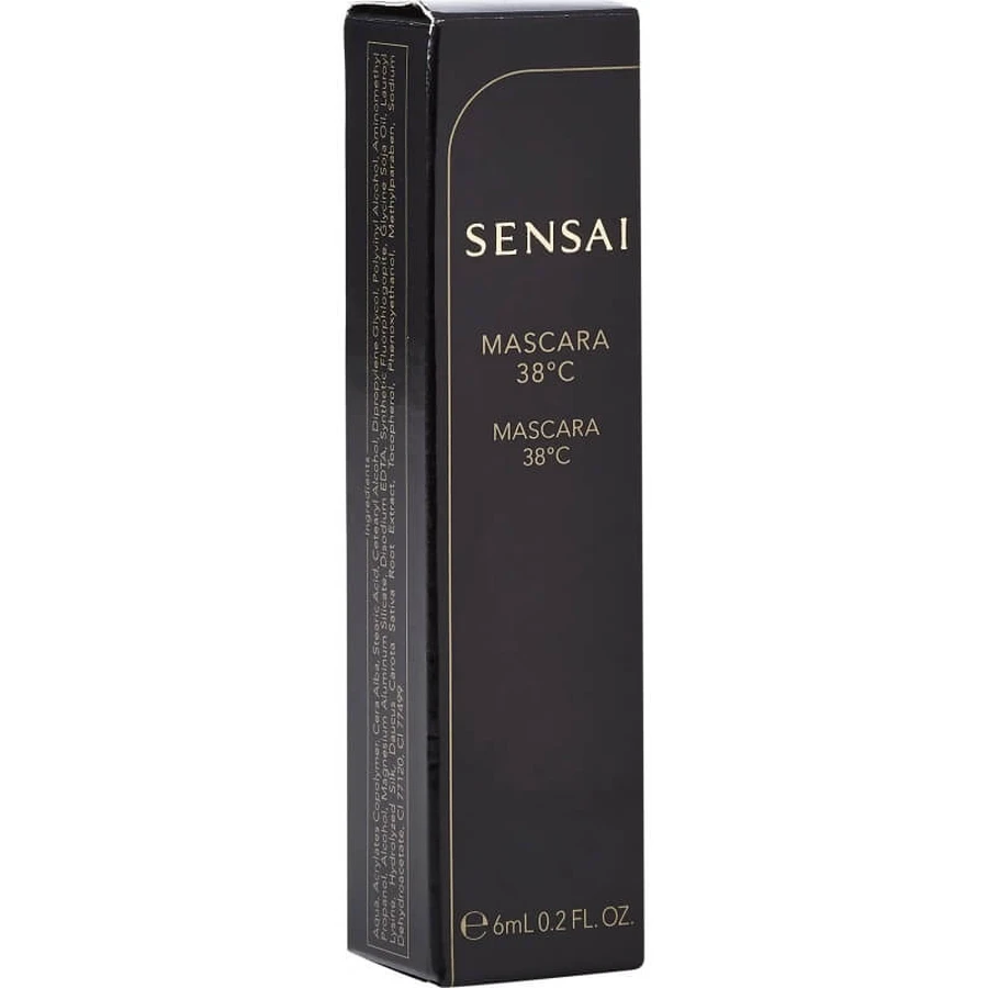 Kanebo Sensai Mascara 38c M 1 Zwart