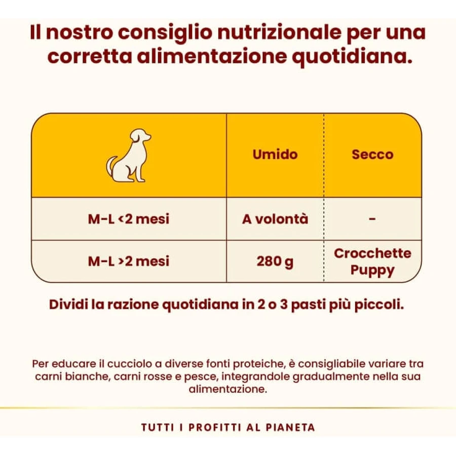 Almo Nature HFC Puppy Chicken - Comida húmeda para cachorros, 280 g