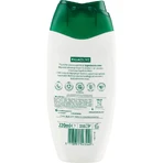 Palmolive Naturals - Green Olive Cream Shower Gel and Moisturizing Milk, 220 ml