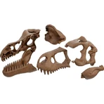 Clementoni Archeogiocando 19324 - Giant T-Rex Skull and 2-in-1 Skeleton - Science Toy