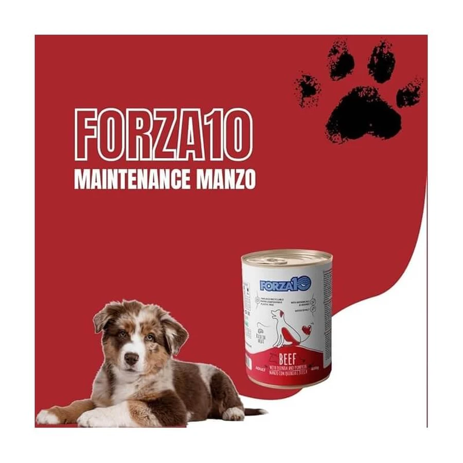 Forza10 Forza 10 Adult Maintenance Rundvlees met Quinoa en Pompoen - Natvoer voor volwassen honden, 400 g