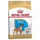 Royal Canin Boxer Junior - Dry Dog Food, 12 kg