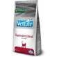 Farmina Vet Life Gastrointestinal - Aliment complet pour chats souffrant de troubles intestinaux, 2 kg