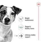 Royal Canin Mini Aging en pâté - Aliment complet pour chiens de petite race d'âge mûr et seniors, 195 g