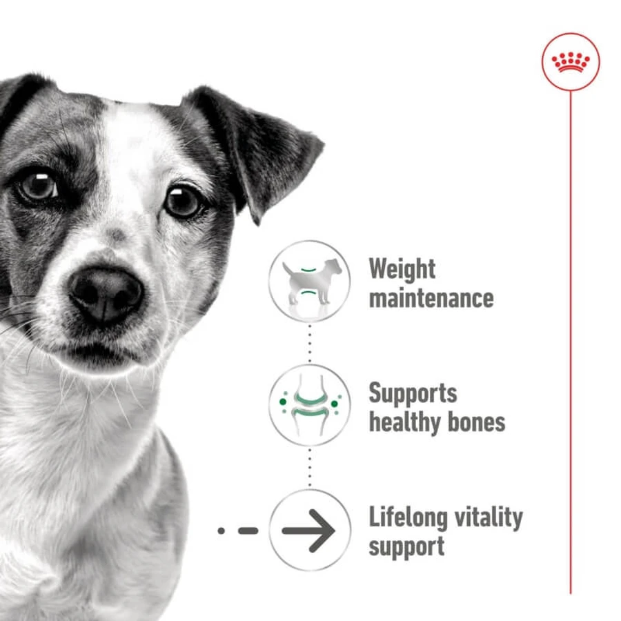 Royal Canin Mini Aging en pâté - Aliment complet pour chiens de petite race d'âge mûr et seniors, 195 g