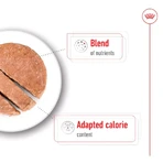 Royal Canin Mini Aging en pâté - Aliment complet pour chiens de petite race d'âge mûr et seniors, 195 g