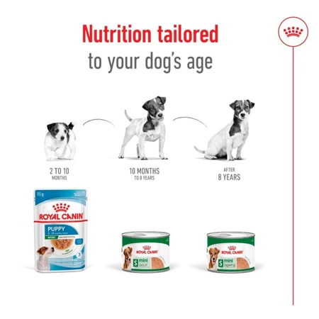 Royal Canin Mini Aging en pâté - Aliment complet pour chiens de petite race d'âge mûr et seniors, 195 g