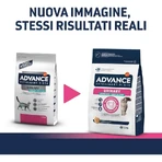 Advance Urinary Sterilized Low-Calorie Chicken - Alimento completo para gatos adultos esterilizados, 7,5 kg