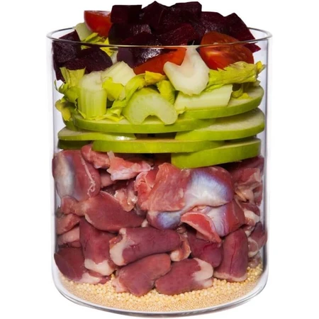 Terra Canis Classic Poulet - Aliment complet pour chiens adultes de poids normal, 800 g