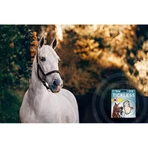 Tickless Horse - Beige ultrasoon afweermiddel voor paarden tegen teken en vlooien