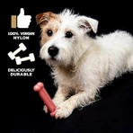 Tasty Bone Tasty Bone Puppy Toy - Bacon-Flavored Puppy Toy