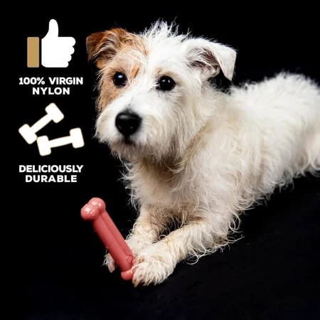 Tasty Bone Tasty Bone Puppy Toy - Bacon-Flavored Puppy Toy