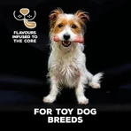 Tasty Bone Tasty Bone Puppy Toy - Bacon-Flavored Puppy Toy