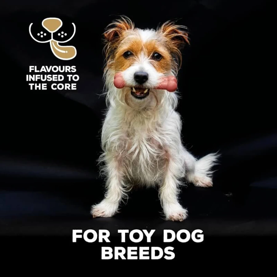 Tasty Bone Tasty Bone Puppy Toy - Bacon-Flavored Puppy Toy
