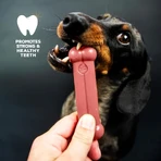 Tasty Bone Tasty Bone Puppy Toy - Bacon-Flavored Puppy Toy