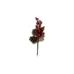 Dgs Red and Green Floral Outdoor Christmas Decoration, 35 cm