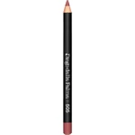 Diego dalla Palma Lip Contour Kit Box Set - Lippenstift + lippotlood, 12 cm, nr. 505 Innocent Rose