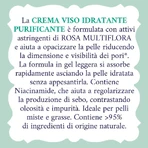Rozenwater: hydraterende en zuiverende gezichtscrème, 50 ml