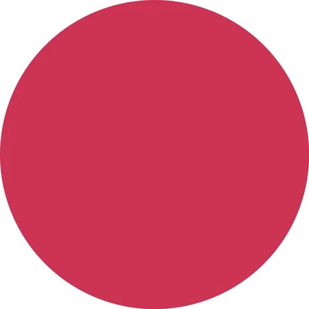Essence What a Tint! - Kleurgevende lip- en wangtint - Gezicht- en liptint nr. 10 Raspberry Vibes