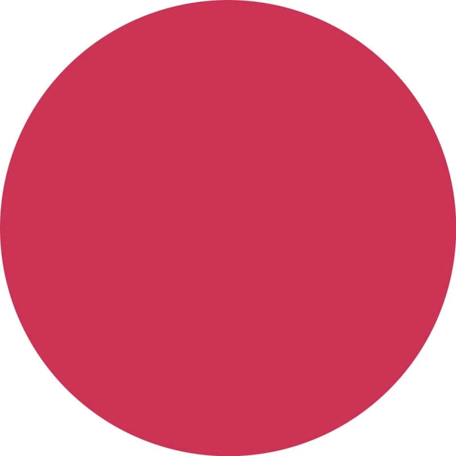 Essence What a Tint! - Kleurgevende lip- en wangtint - Gezicht- en liptint nr. 10 Raspberry Vibes