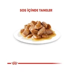 Royal Canin Mini Adult - Alimento completo para perros adultos de razas pequeñas, 85 g