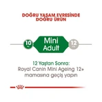 Royal Canin Mini Adult - Alimento completo para perros adultos de razas pequeñas, 85 g