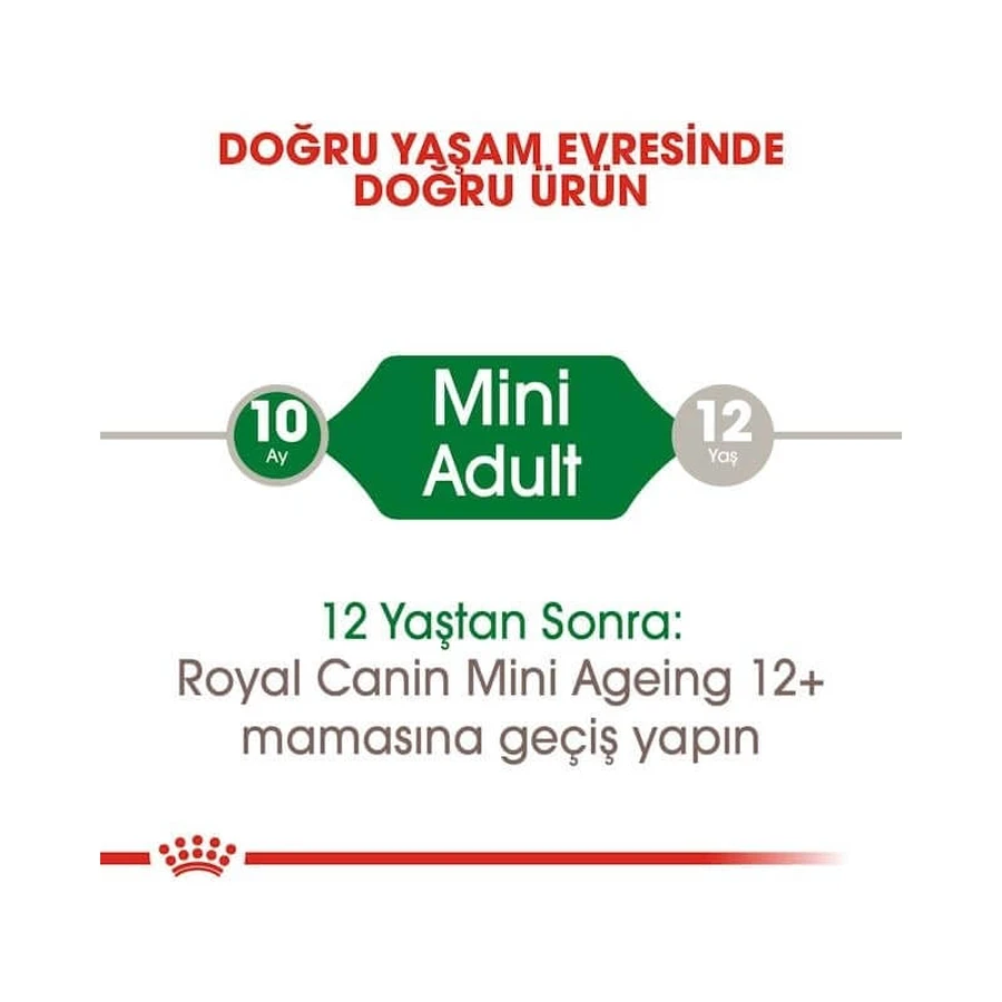 Royal Canin Mini Adult - Alimento completo para perros adultos de razas pequeñas, 85 g